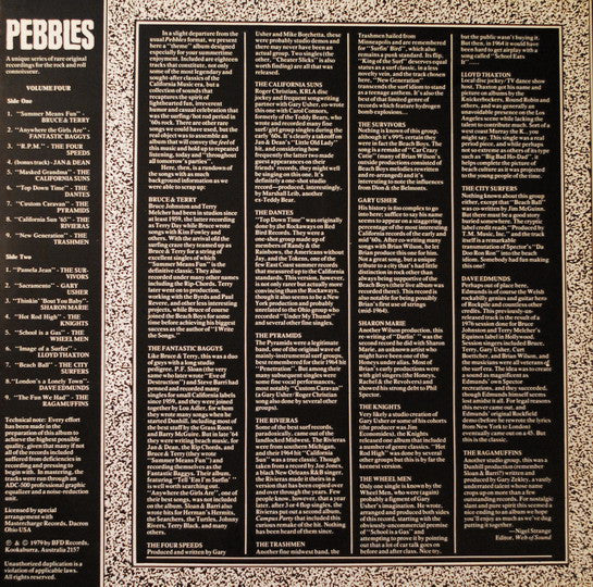 V.A.  (60's ガレージパンク名作シリーズコンピ ) - Pebbles Vol.4  ”Summer Means Fun ! (US 限定復刻再発「ブラックVINYL 」 LP/New)