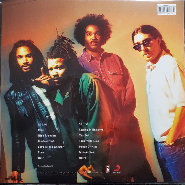 BAD BRAINS (バッド・ブレインズ) - Rise (US Ltd.Reissue LP/ New)