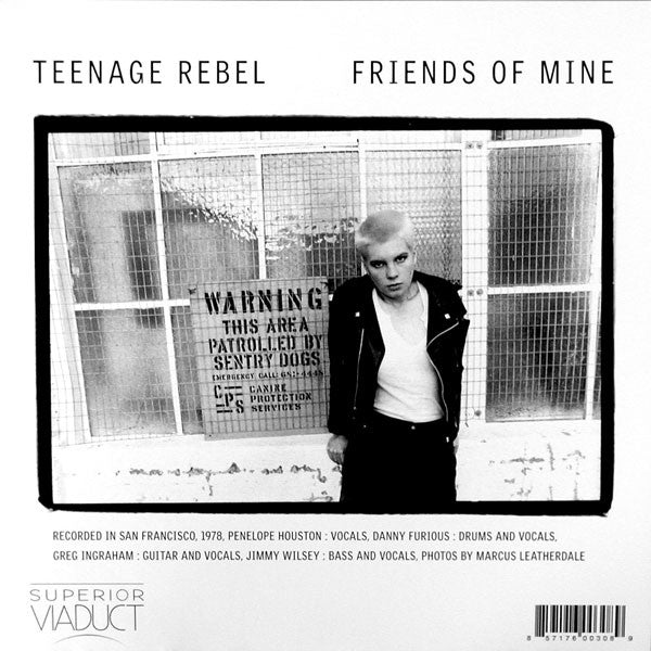 AVENGERS (アヴェンジャーズ) - Teenage Rebel (US 限定再発ブラックヴァイナル 7" / New)