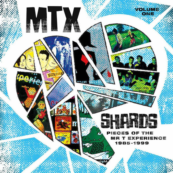 MR. T EXPERIENCE, THE (ザ・ミスター・ティー・エクスペリエンス)  - Shards Vol. 1 (US 限定180グラム カラーヴァイナル LP「廃盤 New」)