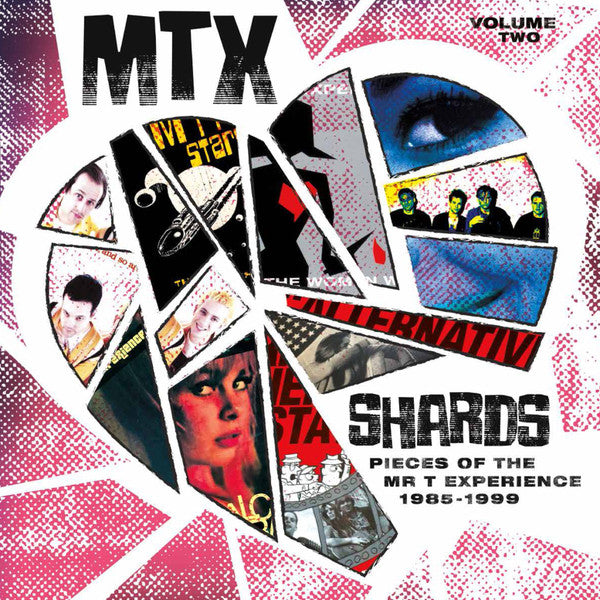 MR. T EXPERIENCE, THE (ザ・ミスター・ティー・エクスペリエンス)  - Shards Vol. 2 (US Ltd. 180g Color Vinyl LP/ New)