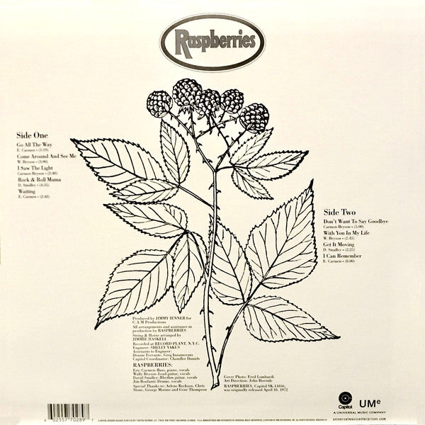 RASPBERRIES    (ラズベリーズ)  - Raspberries [1st ]  (US Ltd.Reissue 180g LP/New)