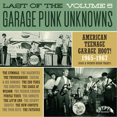 V.A. - Last Of The Garage Punk Unknowns Vol.5 (German Ltd.LP/New)