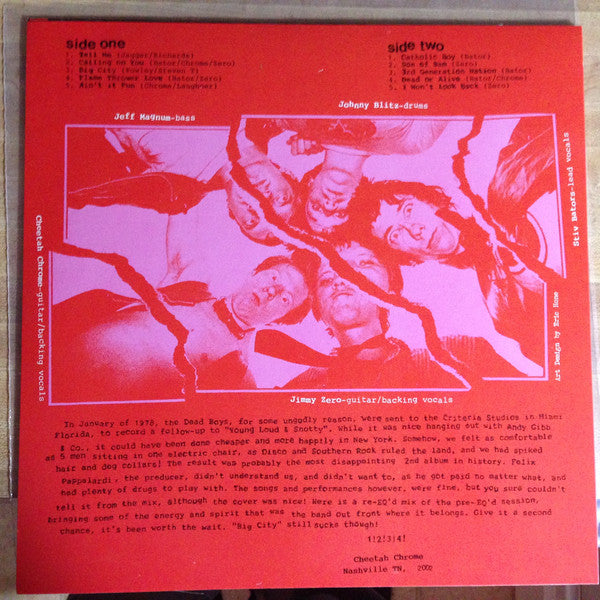 DEAD BOYS (デッド・ボーイズ)  - 3rd Generation Nation (US Ltd.Pink Vinyl 180g LP / New)