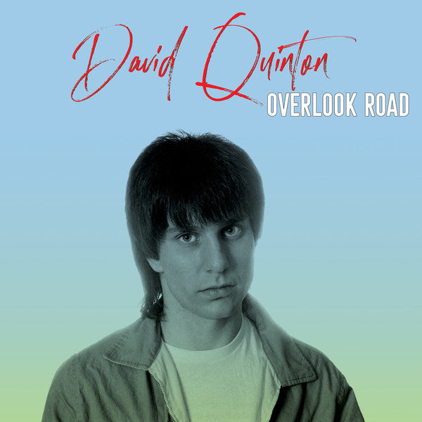 DAVID QUINTON (デヴィッド・クイントン)  - Overlook Road (US Limited LP / New)