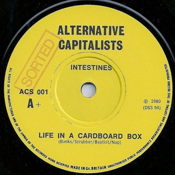 INTESTINES (インテスティンズ)  - Life In A Cardboard Box (UK 限定ナンバリング入り正規再発 7"/水色ジャケ「廃盤 New」)