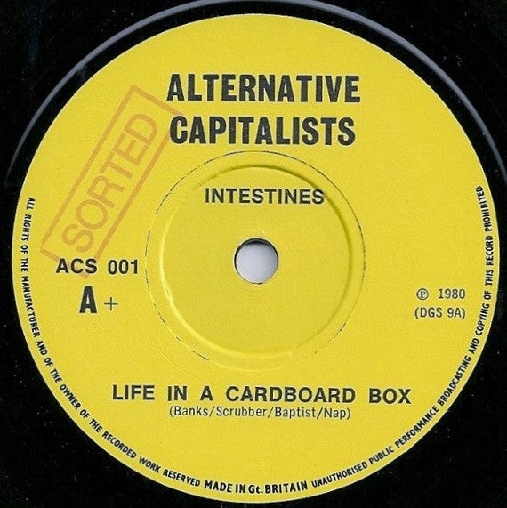 INTESTINES (インテスティンズ)  - Life In A Cardboard Box (UK 限定ナンバリング入り正規再発 7"/黄色ジャケ「廃盤 New」)