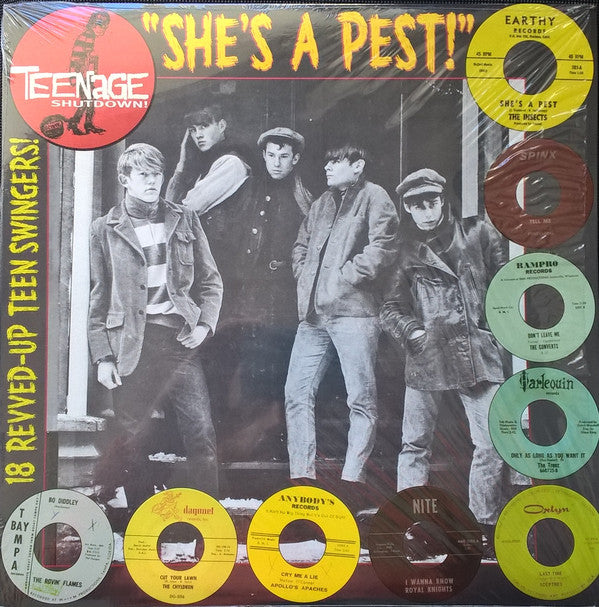V.A. - Teenage Shutdown [ She's A Pest! ] (US Ltd.LP/New)