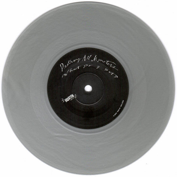DESTROY ALL MONSTERS (デストロイ・オール・モンスターズ) - What Do I Get (Italy 500 Ltd.Reissue Grey Vinyl 7"/ New)
