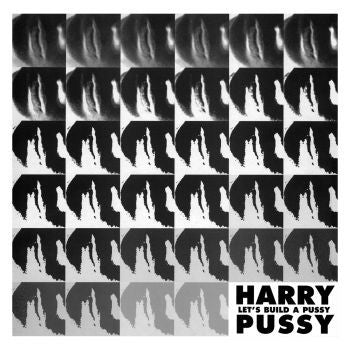 HARRY PUSSY (ハリー・プッシー)  - Let's Build A Pussy (Austria Limited Reissue 2xLP/NEW)