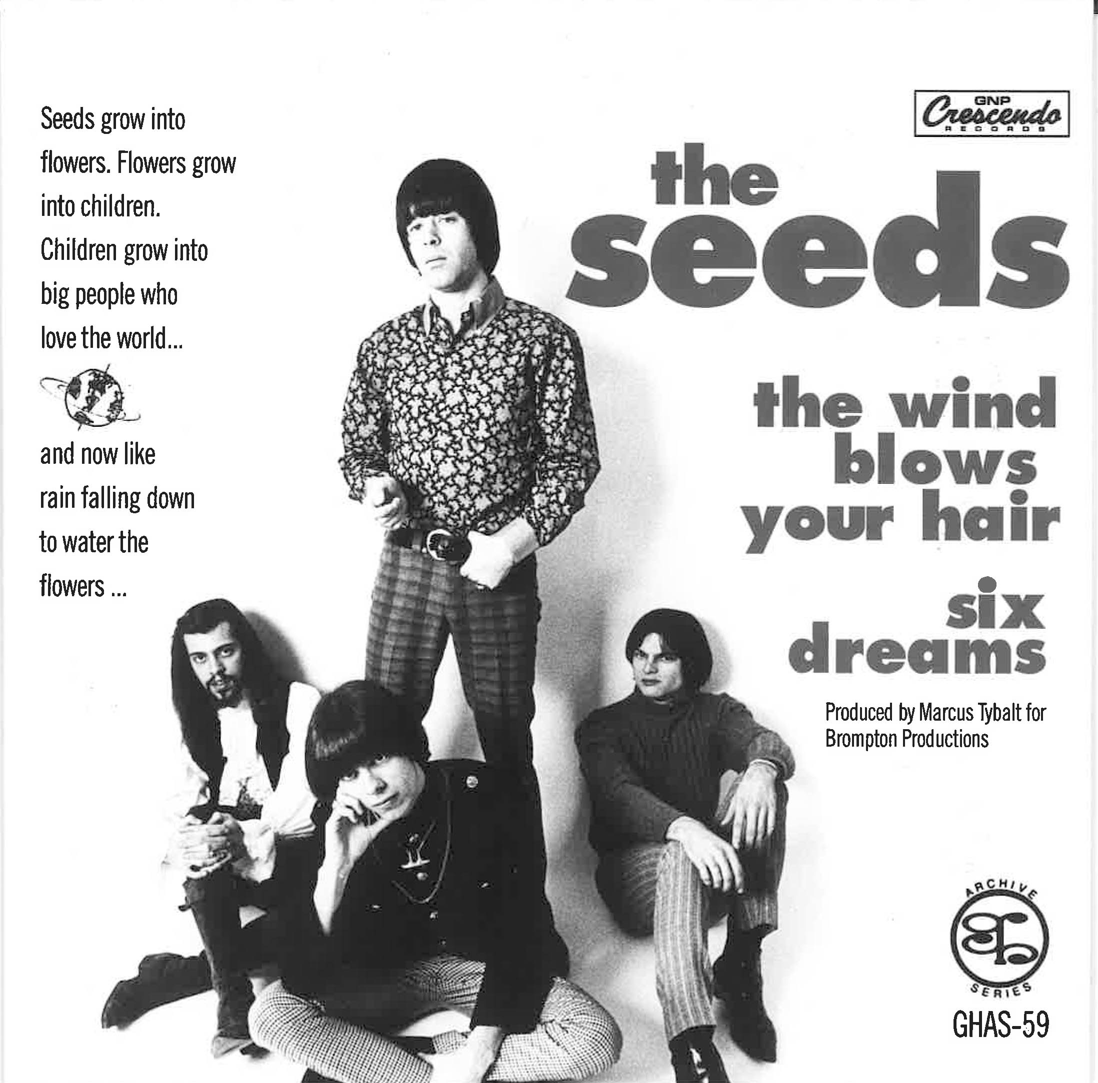 SEEDS (シーズ)  - The Wind Blows Your Hair (US Ltd. Reissue 7"+PS/New)